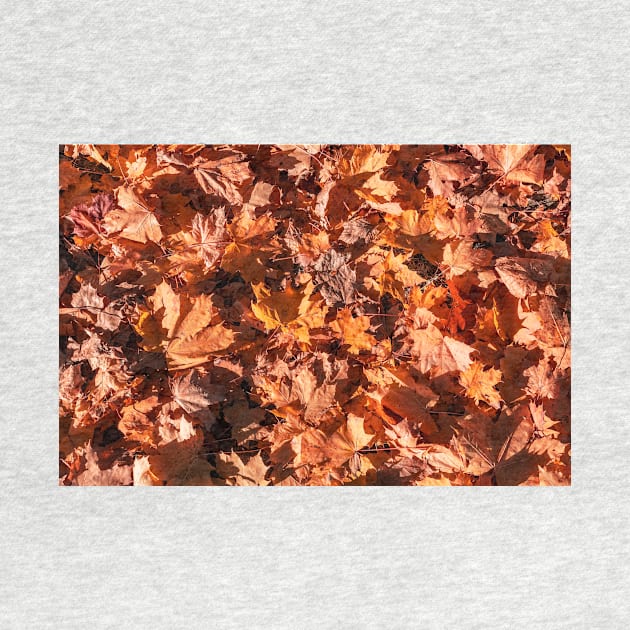 Red maple leaves background by lena-maximova